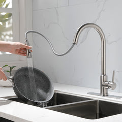 Stainless Steel Kitchen Sink Faucet With Pull-down Sprayer